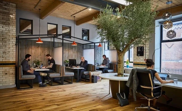 The Colony Ancoates Manchester