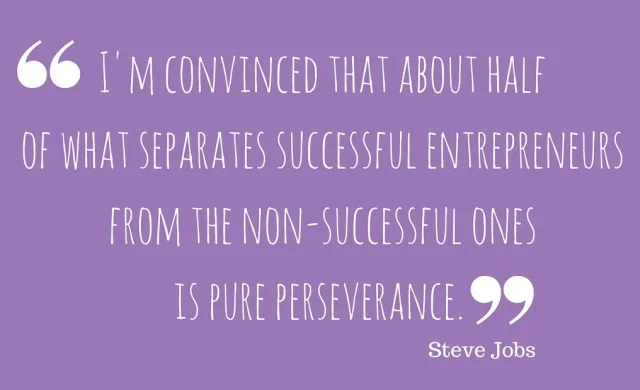 I'm convinced that about half of what separates successful entrepreneurs from the non-successful ones is pure perseverance.
