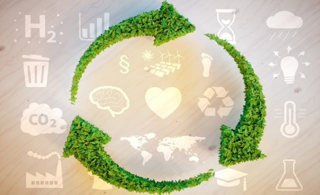 Five trailblazing young eco-entrepreneurs to watch in 2017 - Startups.co.uk