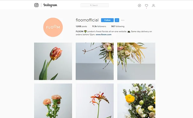Floom Instagram