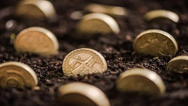 Coins in dirt