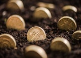 Coins in dirt