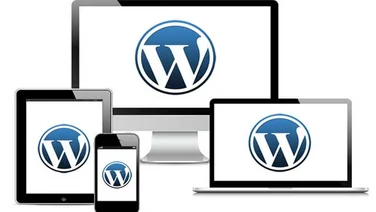 Wordpress Website Costs
