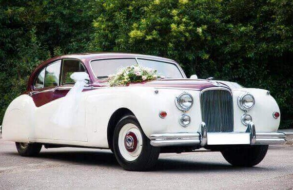 starting a wedding car hire business