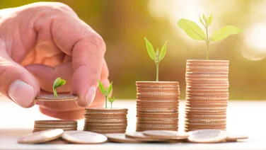 pension auto enrolment