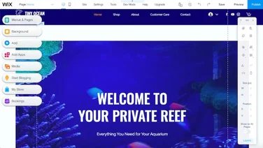 Wix aquariam template