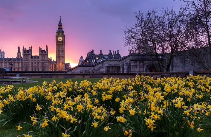 houses of parliament westminster government