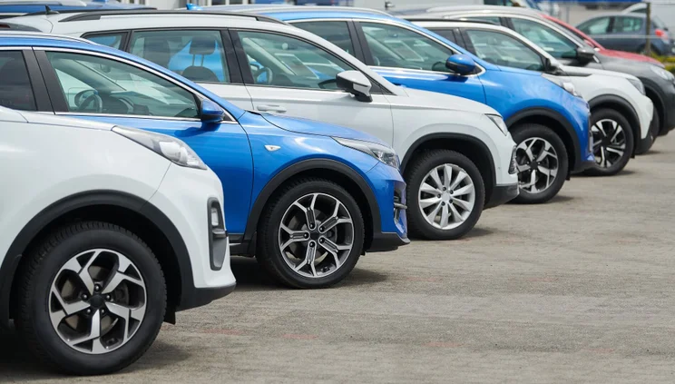 dealership used car
