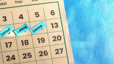 Calendar with annual leave days marked off
