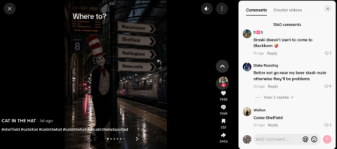 Source: realcatinthehatni (TikTok)